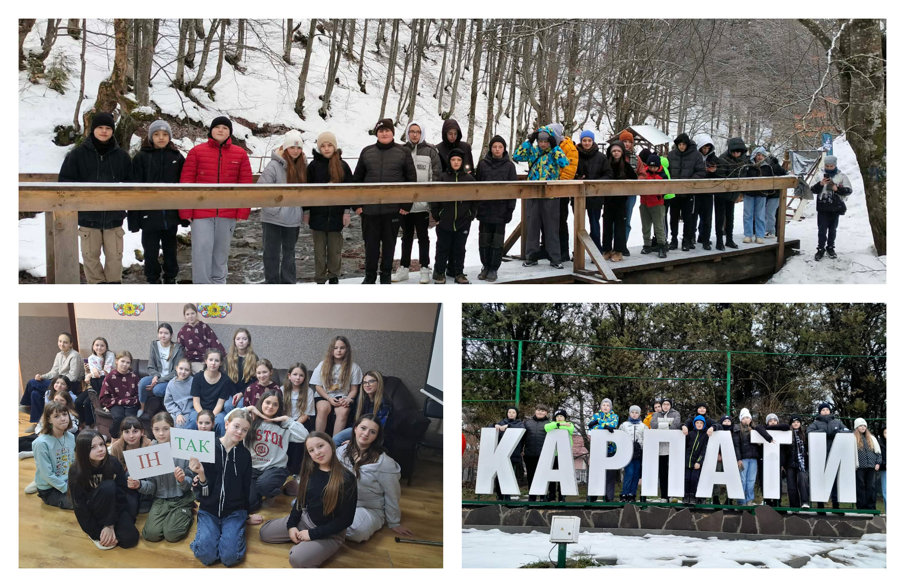 „Арніка” – місце, де народжується дружба