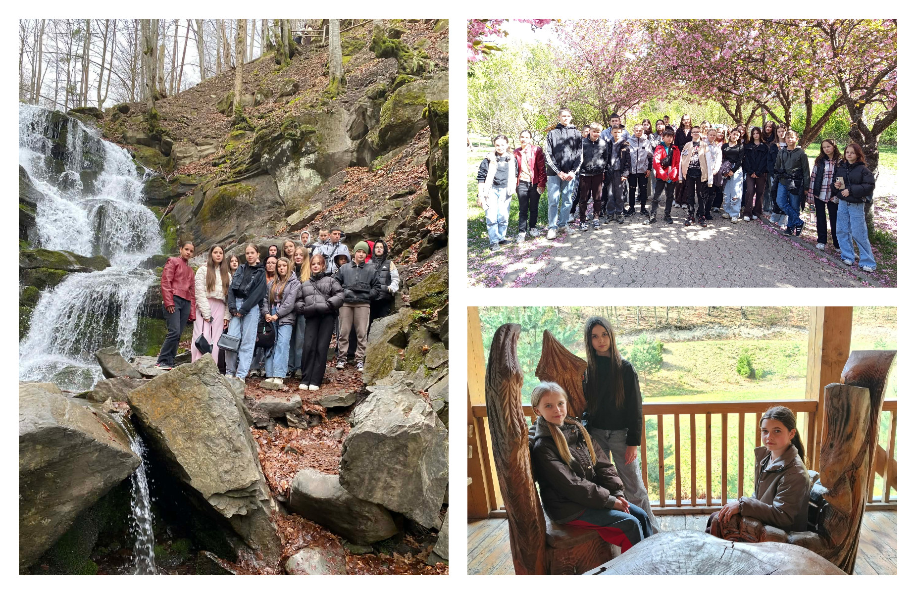 „Арніка” ‒  місце, куди хочеться повертатися знову і знову!