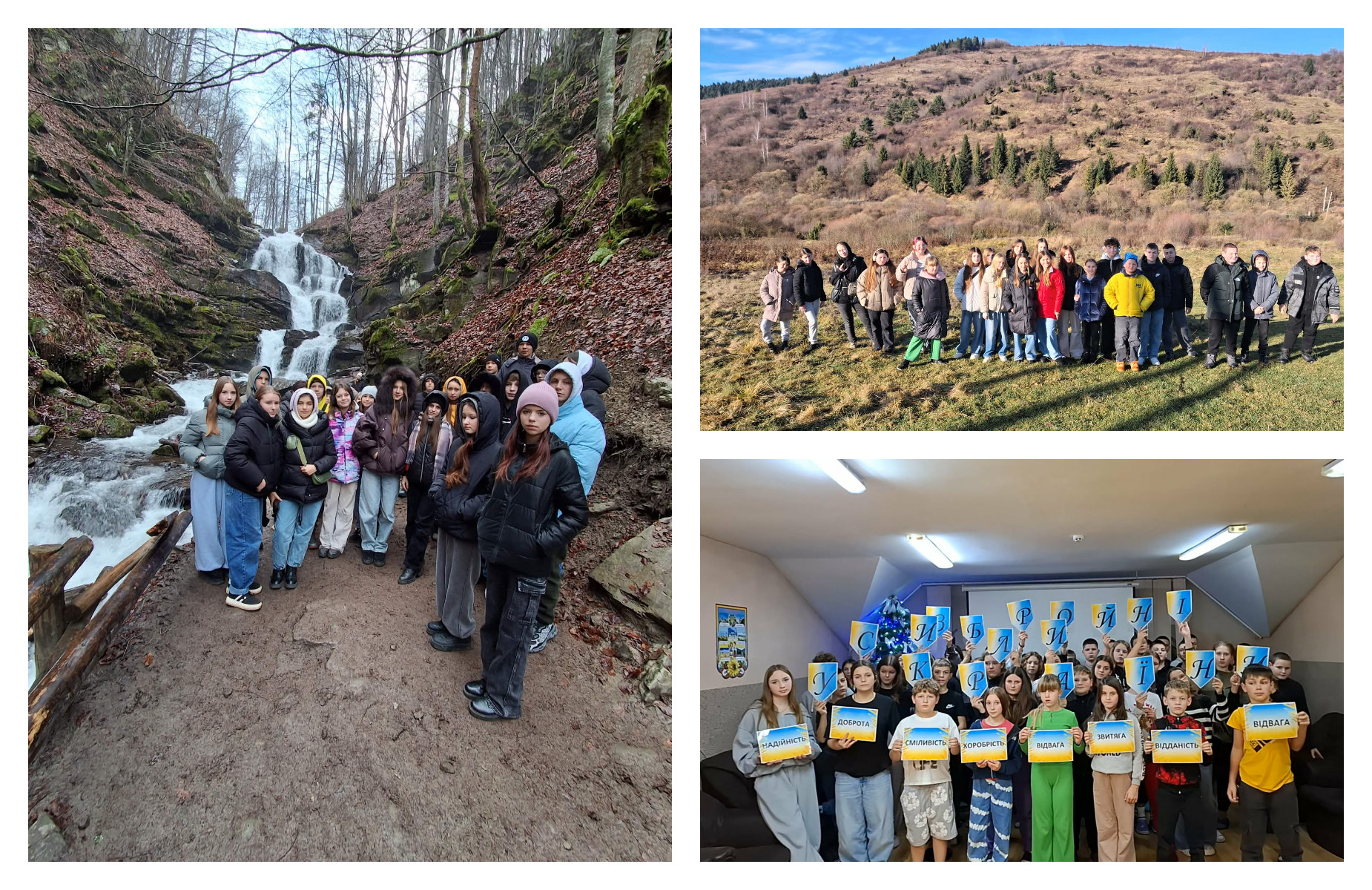 Арніка ‒ місце, де народжується диво!