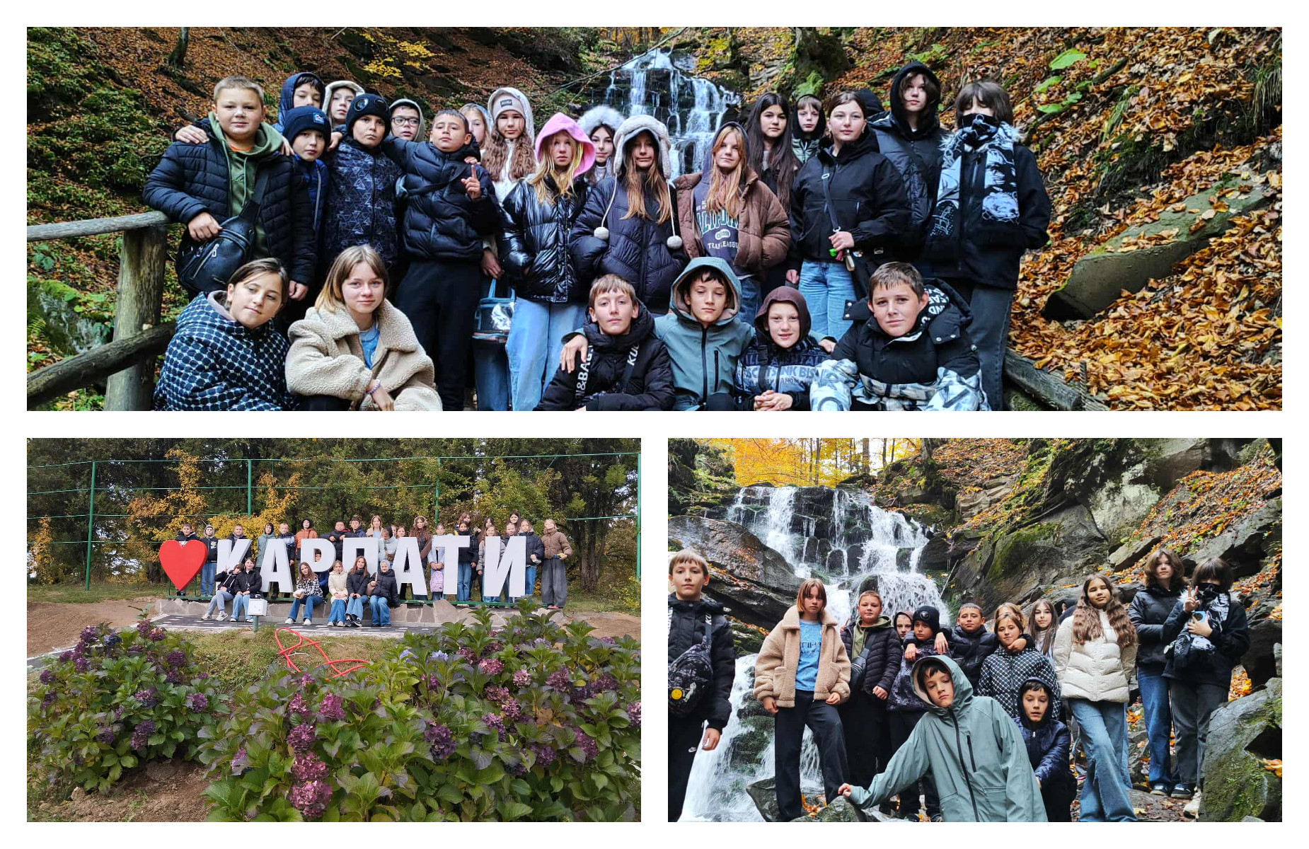 Табір  „Арнікаˮ ‒ це місце, де народжуються найкращі спогади дитинства!