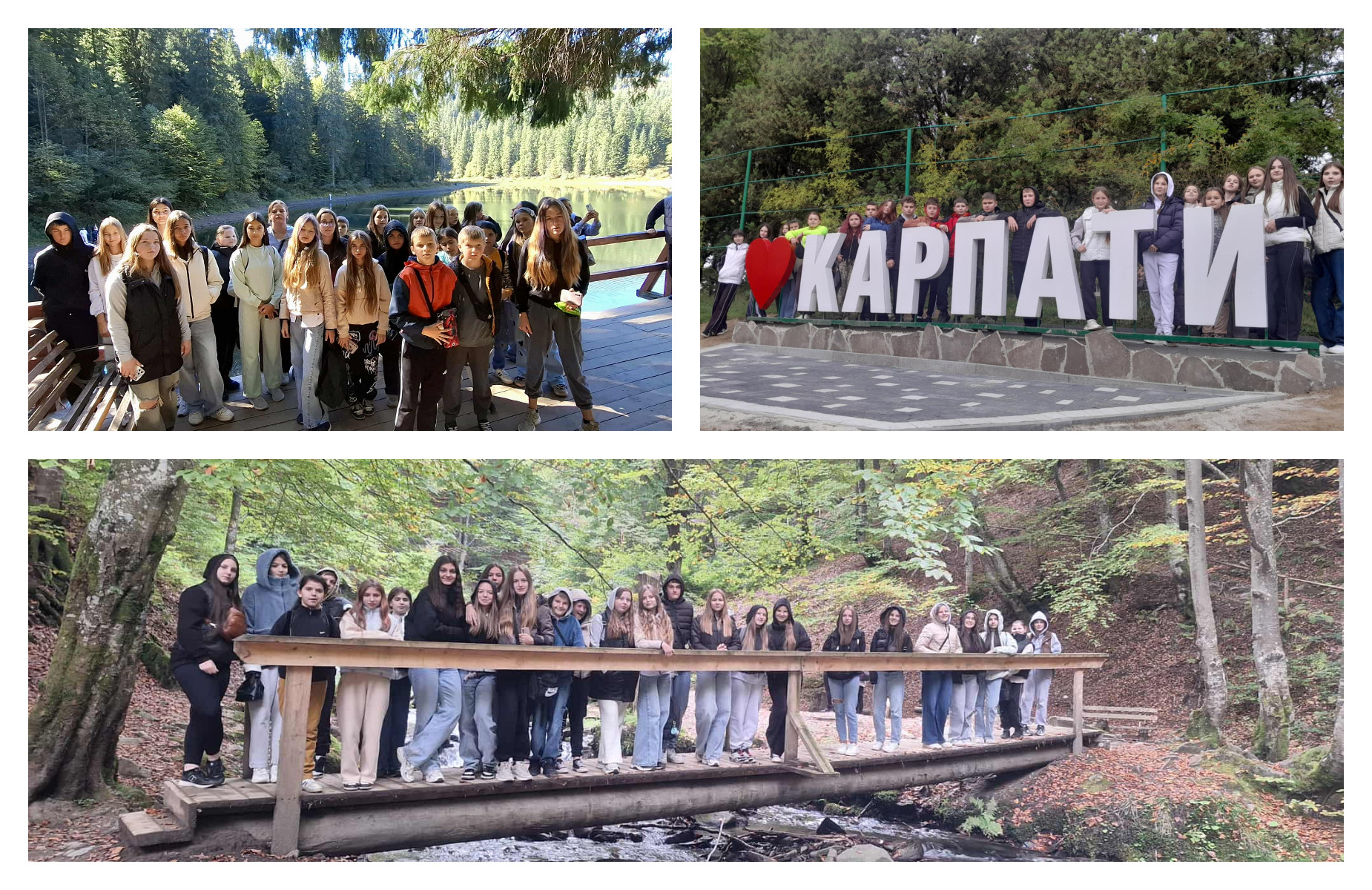 Табір „Арніка” ‒  місце, де кожна дитина може розкрити себе