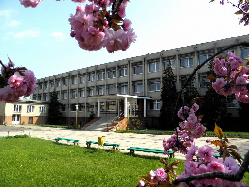 Створюємо професійний коледж